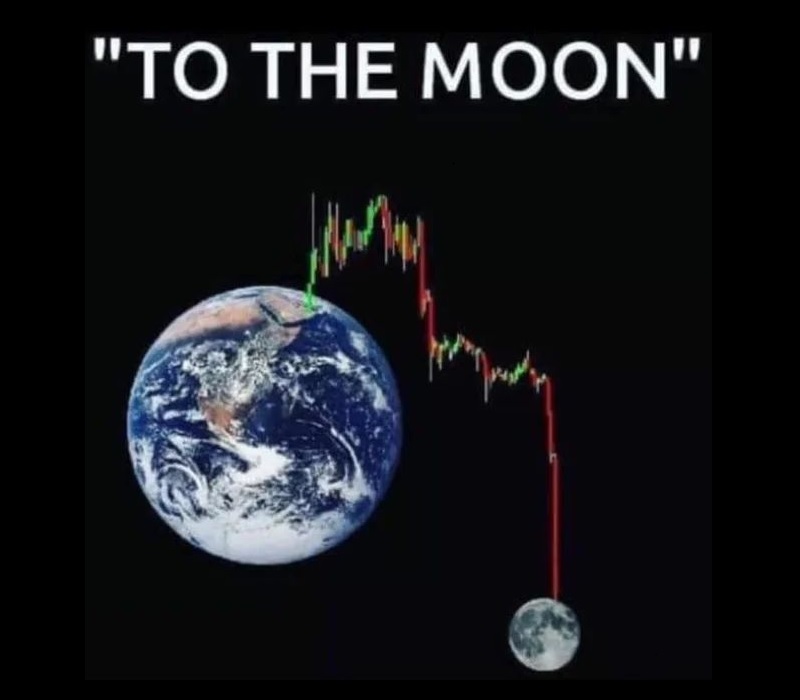 my trading is going to the moon
