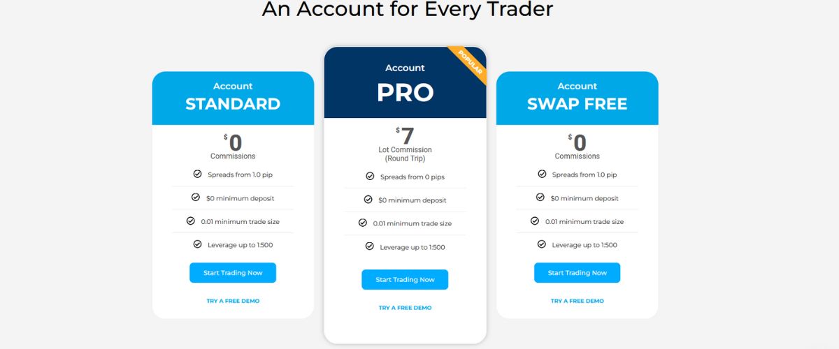 OX Account Types